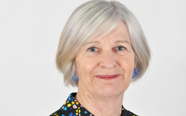 Annie Hudson, chair, Child Safeguarding Practice Review Panel