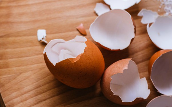 broken eggshells