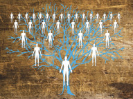 family tree