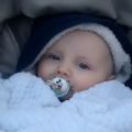Finley Boden